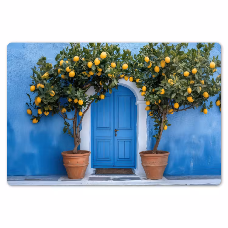 Placemat - 6 stuks - Citroenbomen - Geel - Deur - Potten — 7