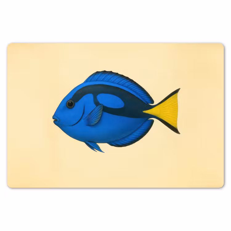 Placemat - 6 stuks - Blauw - Dory - Vis - Staartvin — 7