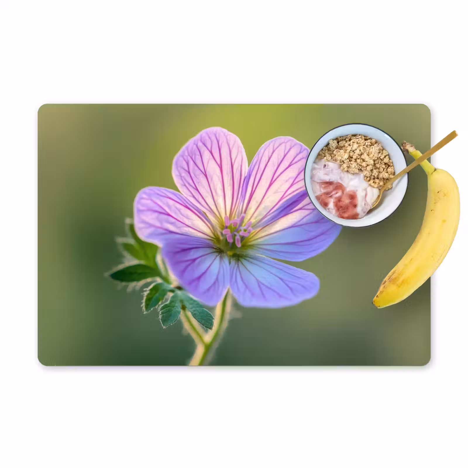 Placemat - 6 stuks - Bloem - Close up - Paars — 1