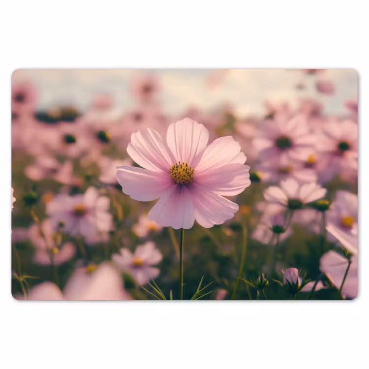 Placemat - 6 stuks - Bloemen - Paars - Wazig — 7