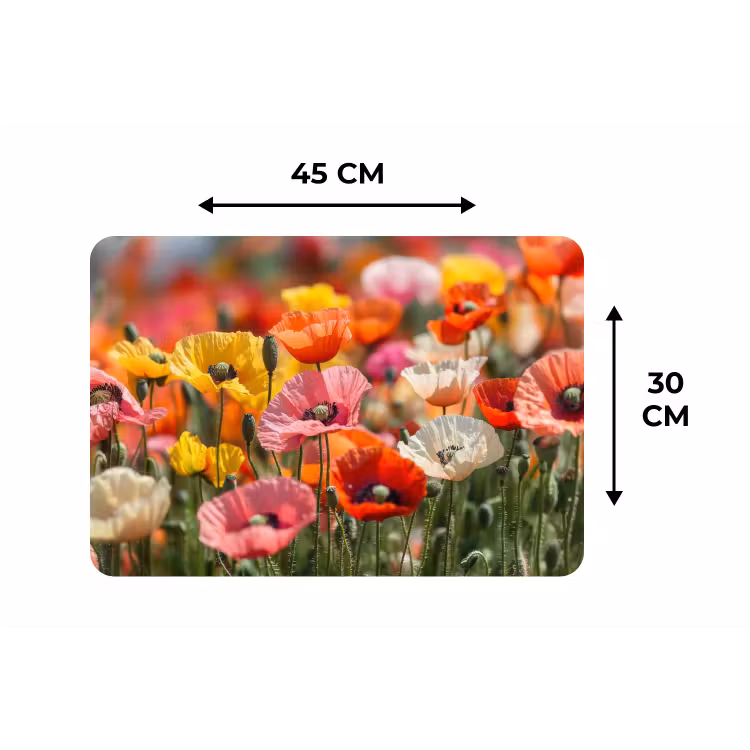 Placemat - 6 stuks - Bloemenveld - Klaprozen - Kleurrijk — 3