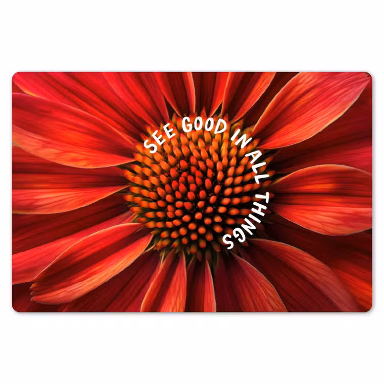 Placemat - 6 stuks - Close up - Bloem - Quote - Rood — 7