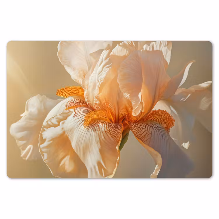 Placemat - 6 stuks - Close up - Oranje - Iris — 7