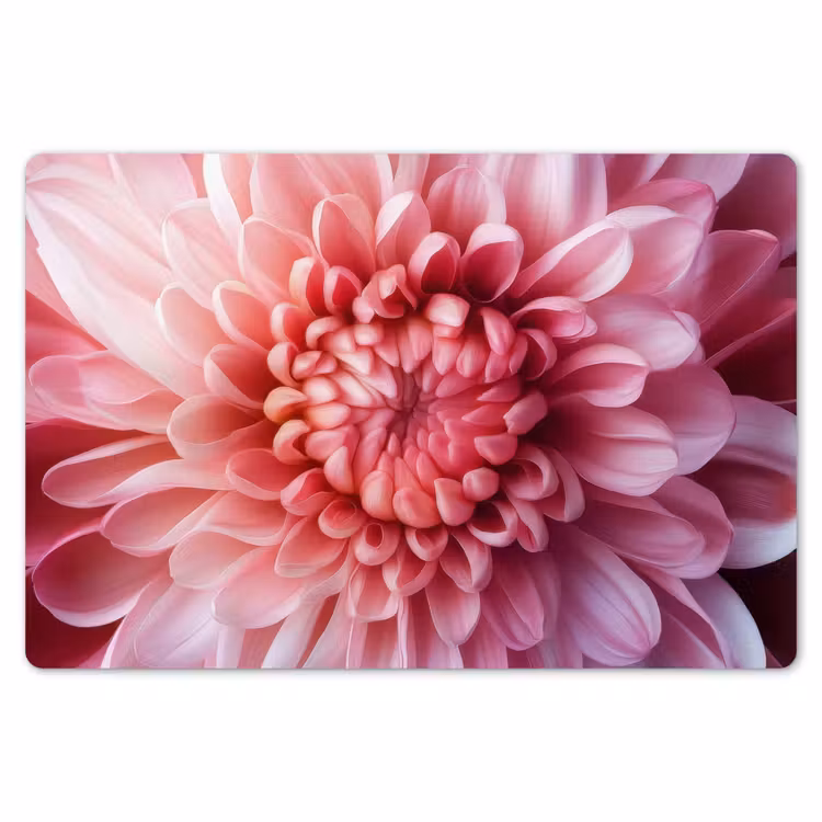 Placemat - 6 stuks - Dahlia - Bloem - Close up - Roze — 7