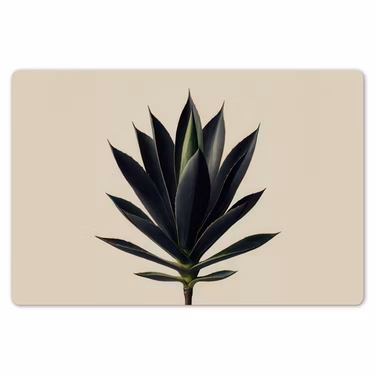 Placemat - 6 stuks - Agaveplant - Symmetrisch - Groen — 7