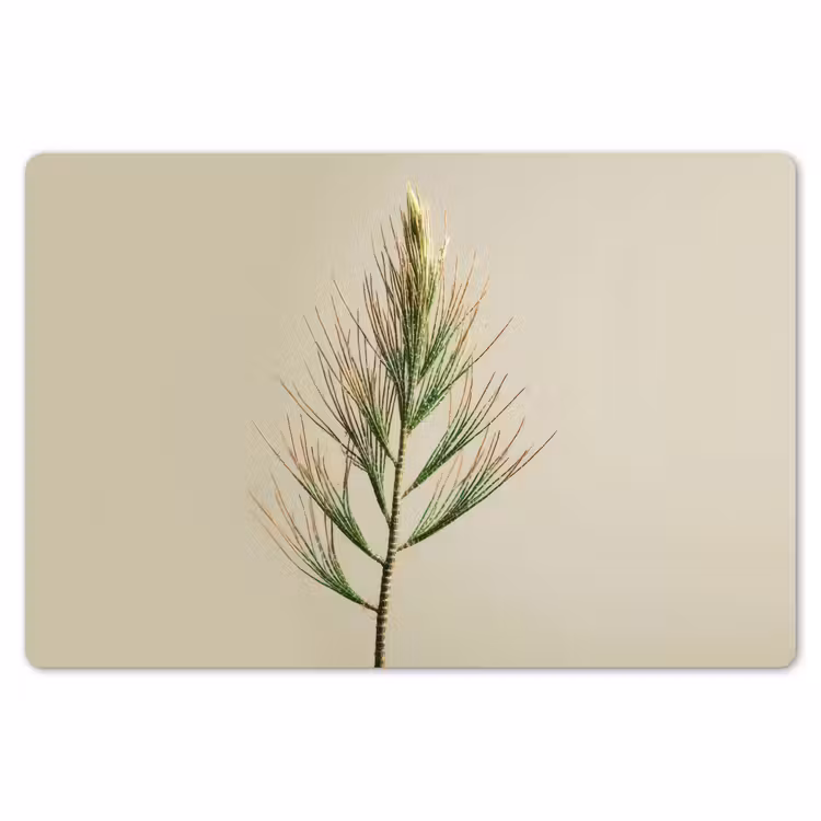 Placemat - 6 stuks - Dennentak - Naaldvormige bladeren - Lichtgroen — 7
