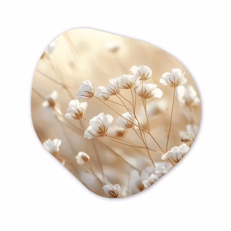 Organische vorm aluminium - Wilde - Bloemen - Wit — 1