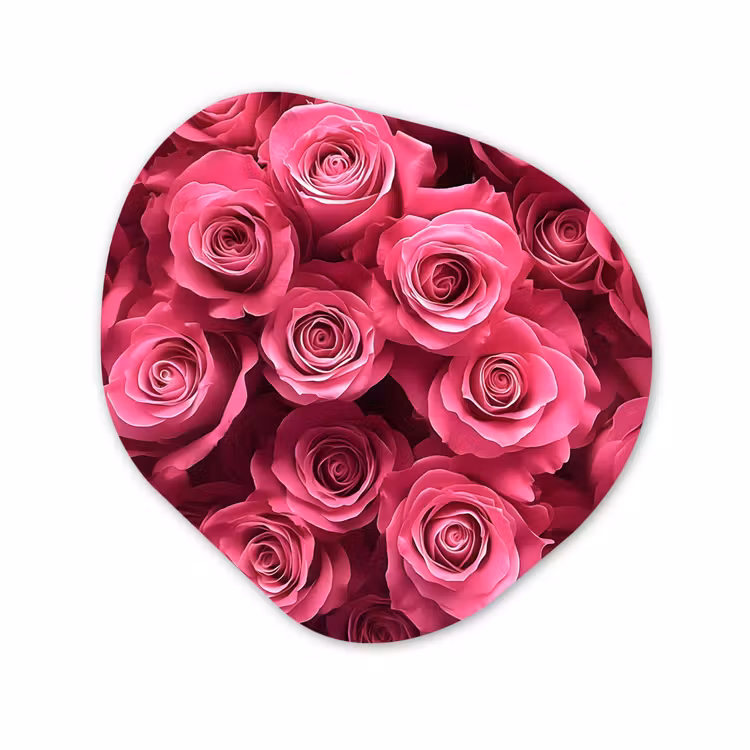 Organische vorm aluminium - Rozen - Pink - Bloem — 1