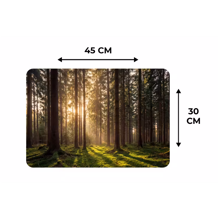 Placemat - 6 stuks - Bos - Gras - Zonlicht — 3