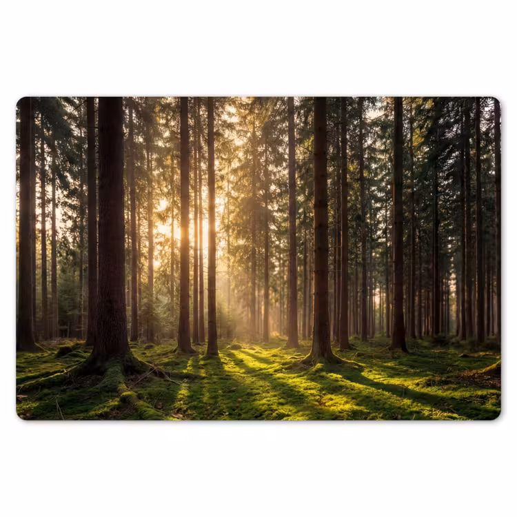 Placemat - 6 stuks - Bos - Gras - Zonlicht — 7