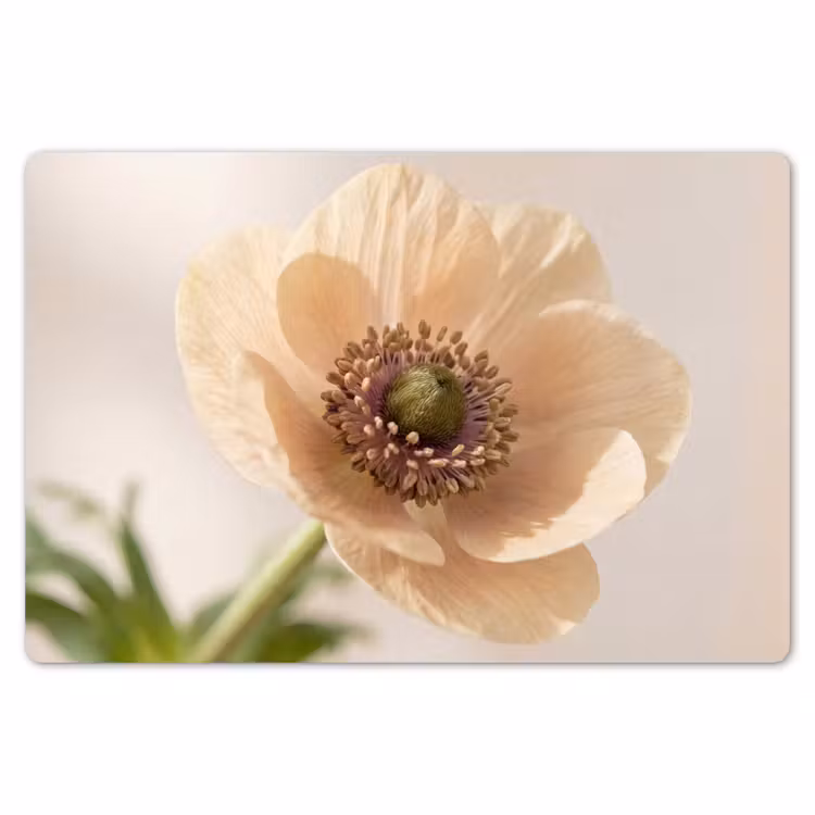 Placemat - 6 stuks - Bloem - Minimalistisch - Groen — 7