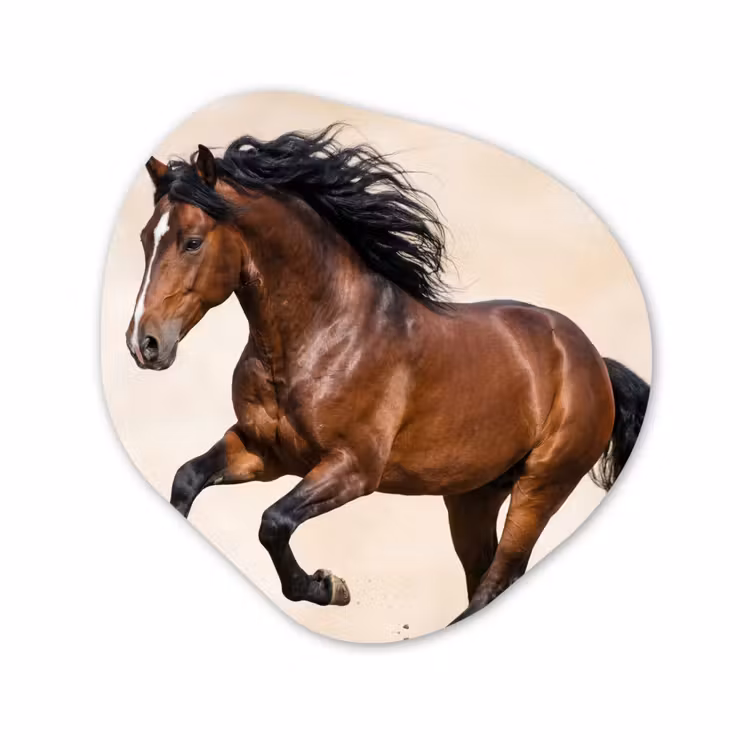 Organische vorm aluminium - Paard - Galop - Energie — 1
