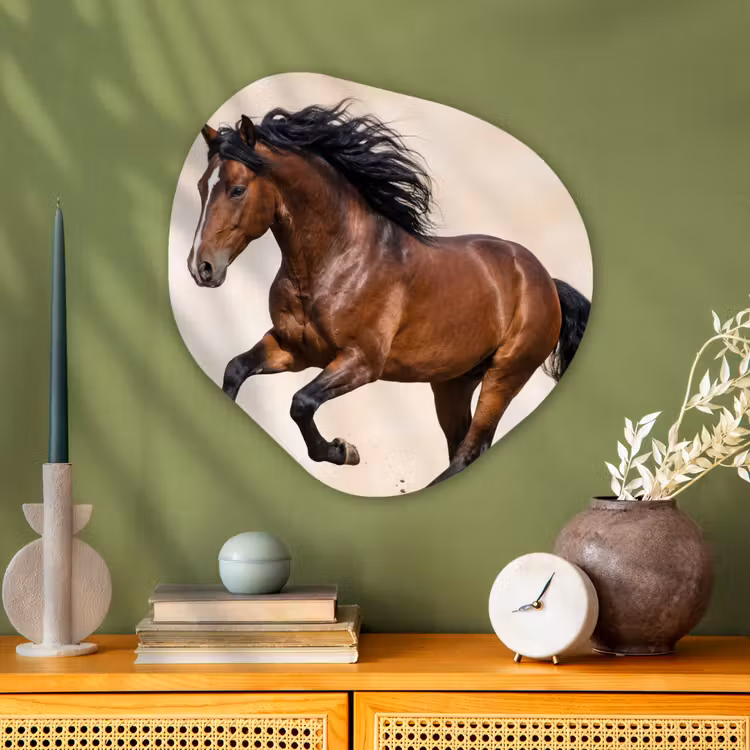 Organische vorm aluminium - Paard - Galop - Energie — 2