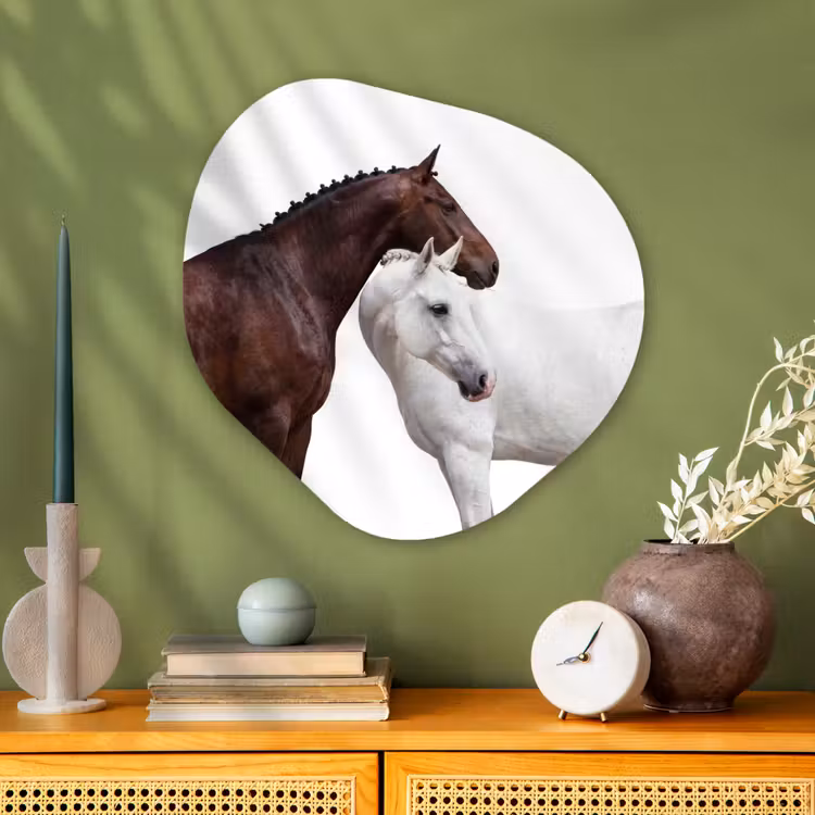 Organische vorm aluminium - Paard - Modern - Balans — 2
