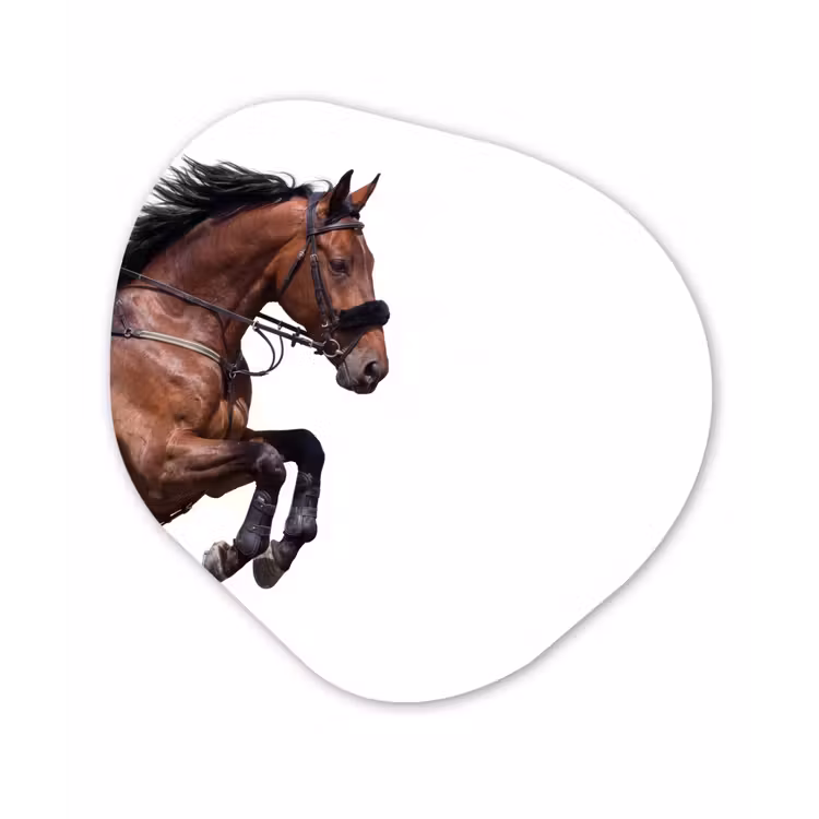 Organische vorm aluminium - Paard - Springen - Modern — 1