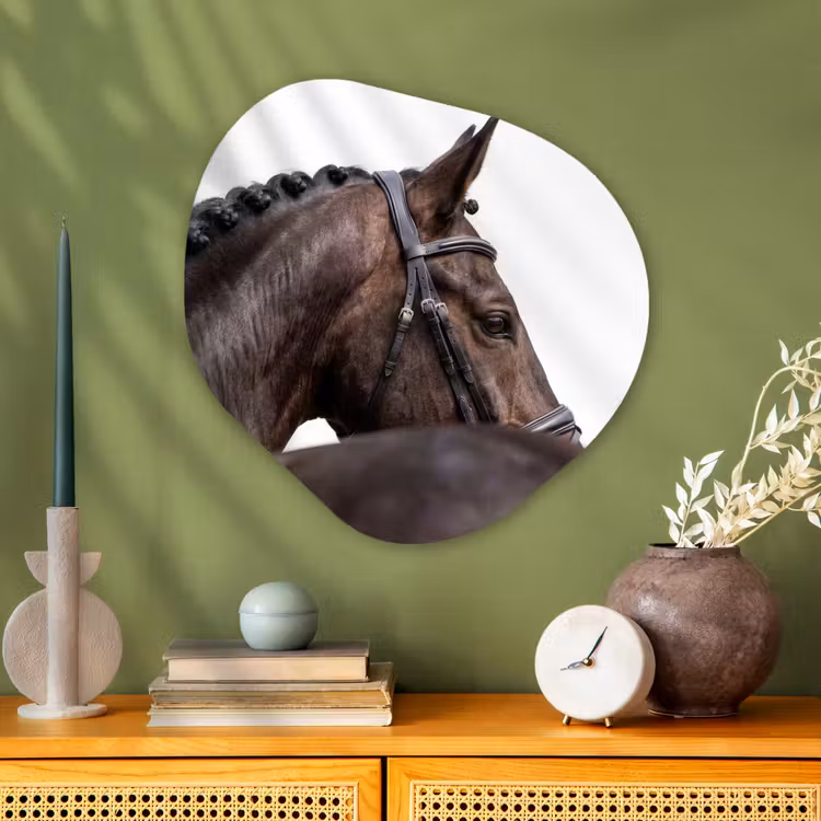 Organische vorm aluminium - Portret - Paard - Elegant — 2