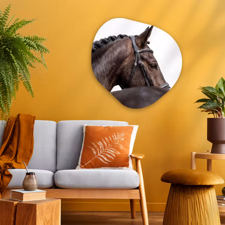 Organische vorm aluminium - Portret - Paard - Elegant — 3