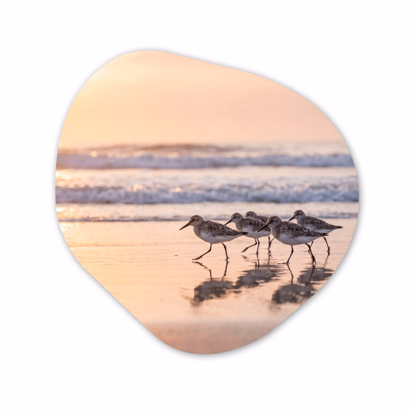 Organische vorm aluminium - Zee - Vogels - Strand — 1