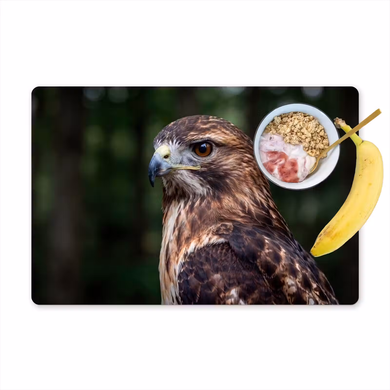 Placemat - 6 stuks - Buizerd - Roofvogel - Natuur - Bruin — 1