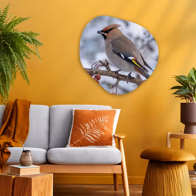 Organische vorm aluminium - Pestvogel - Bessen - Winter - Natuur — 3