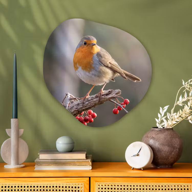 Organische vorm aluminium - Roodborst - Tak - Bessen - Natuur — 2