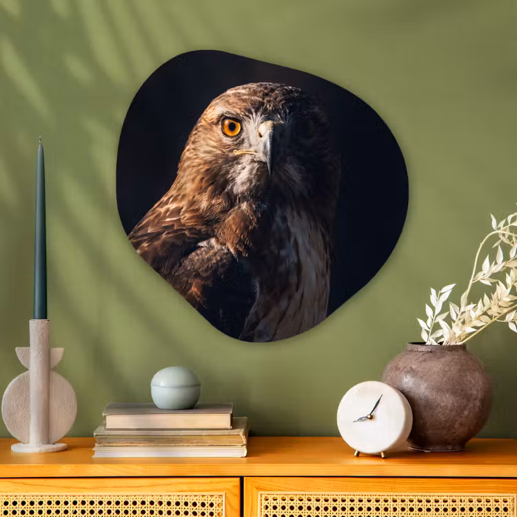 Organische vorm aluminium - Roofvogel - Buizerd - Bruin — 2