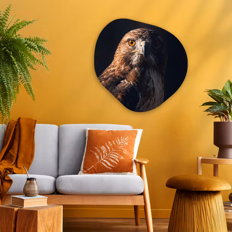 Organische vorm aluminium - Roofvogel - Buizerd - Bruin — 3