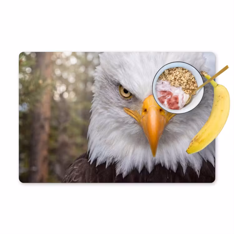 Placemat - 6 stuks - Amerikaans - Zeearend - Portret - Geel — 1