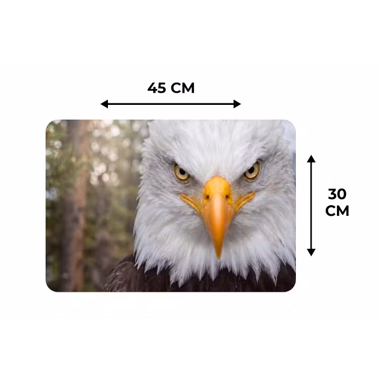 Placemat - 6 stuks - Amerikaans - Zeearend - Portret - Geel — 3