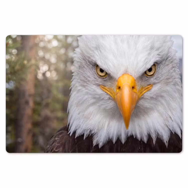 Placemat - 6 stuks - Amerikaans - Zeearend - Portret - Geel — 7
