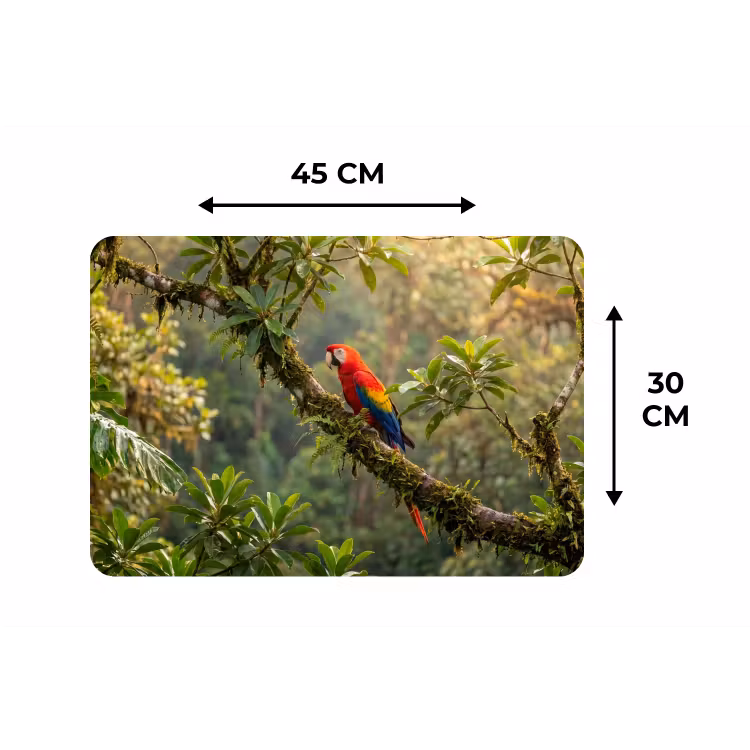 Placemat - 6 stuks - Ara - Jungle - Rood — 3