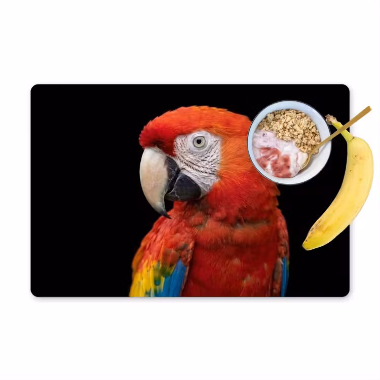 Placemat - 6 stuks - Ara - Portret - Rood — 1