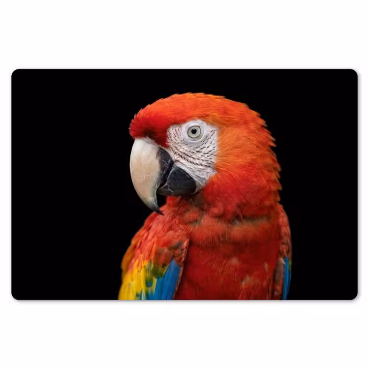 Placemat - 6 stuks - Ara - Portret - Rood — 7