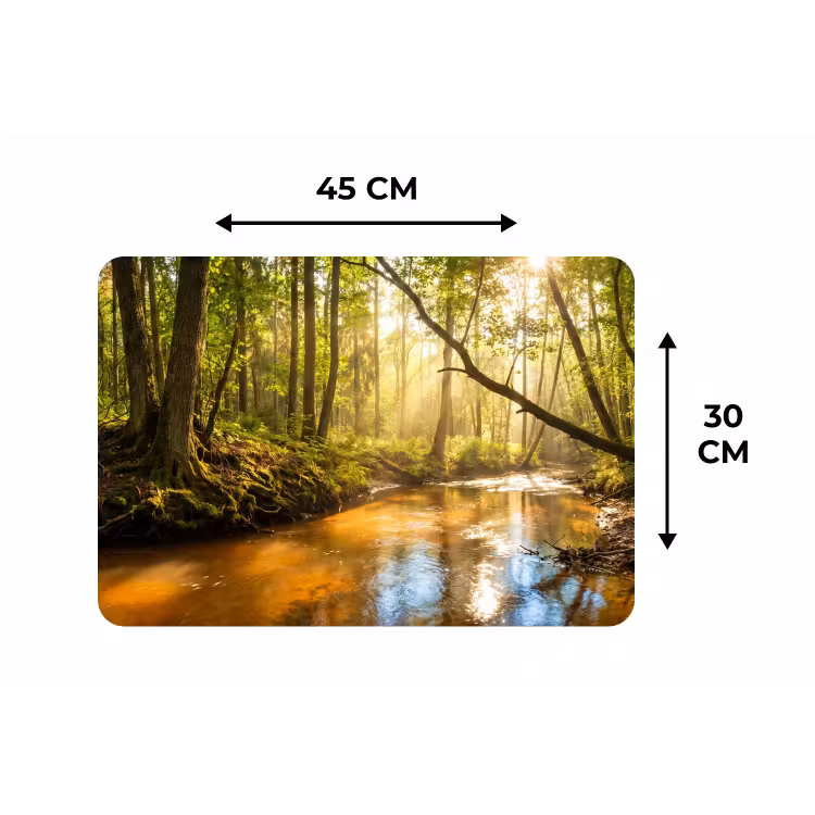 Placemat - 6 stuks - Bos - Beek - Zonlicht - Natuur - Groen — 3