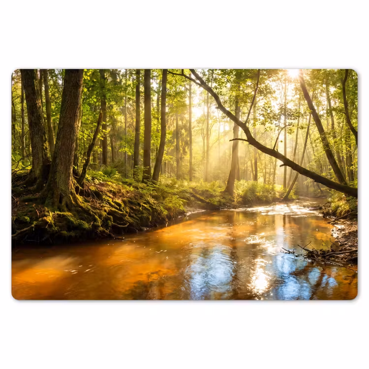 Placemat - 6 stuks - Bos - Beek - Zonlicht - Natuur - Groen — 7