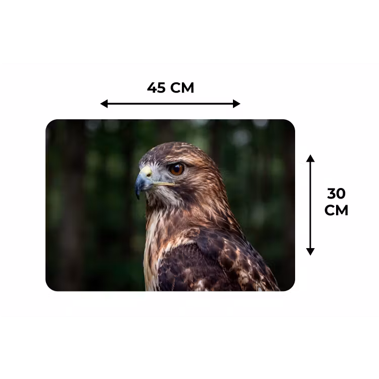 Placemat - 6 stuks - Buizerd - Roofvogel - Natuur - Bruin — 3