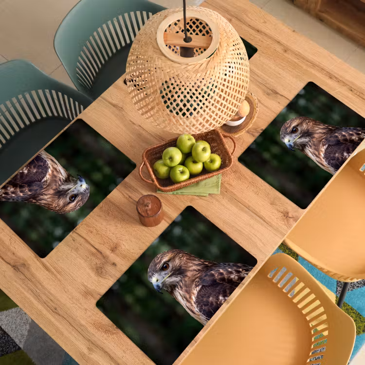 Placemat - 6 stuks - Buizerd - Roofvogel - Natuur - Bruin — 6