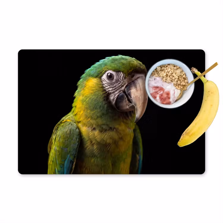 Placemat - 6 stuks - Ara - Portret - Groen — 1