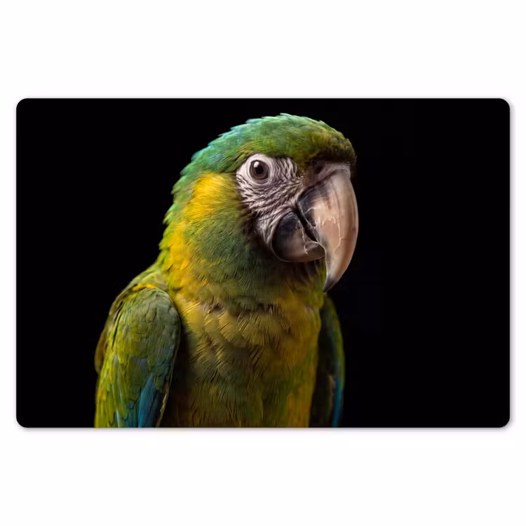 Placemat - 6 stuks - Ara - Portret - Groen — 7