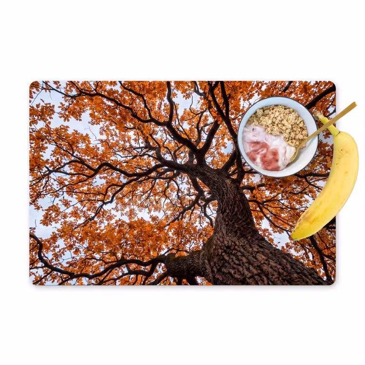 Placemat - 6 stuks - Boom - Bladerdak - Herfst - Oranje - Sfeervol — 1