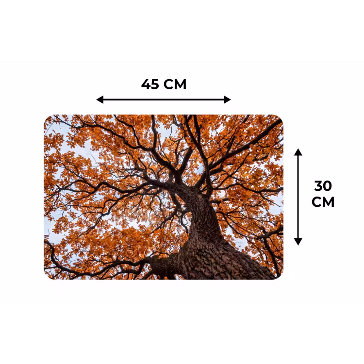Placemat - 6 stuks - Boom - Bladerdak - Herfst - Oranje - Sfeervol — 3