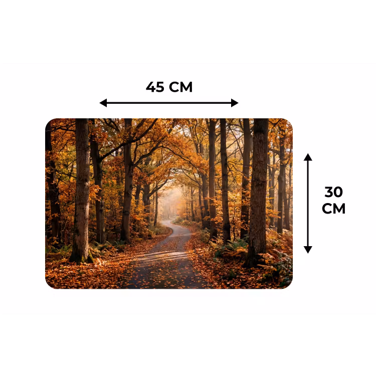 Placemat - 6 stuks - Bospad - Herfstbos - Bladeren - Oranje - Nostalgisch — 3