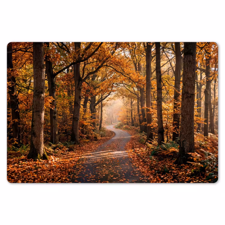 Placemat - 6 stuks - Bospad - Herfstbos - Bladeren - Oranje - Nostalgisch — 7