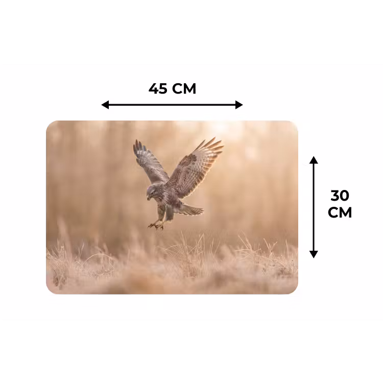 Placemat - 6 stuks - Buizerd - Roofvogel - Natuur - Bruin — 3