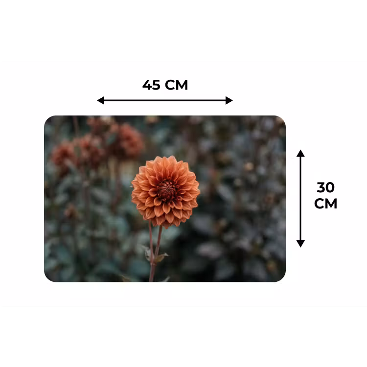 Placemat - 6 stuks - Dahlia - Bloem - Natuur - Sfeervol — 3