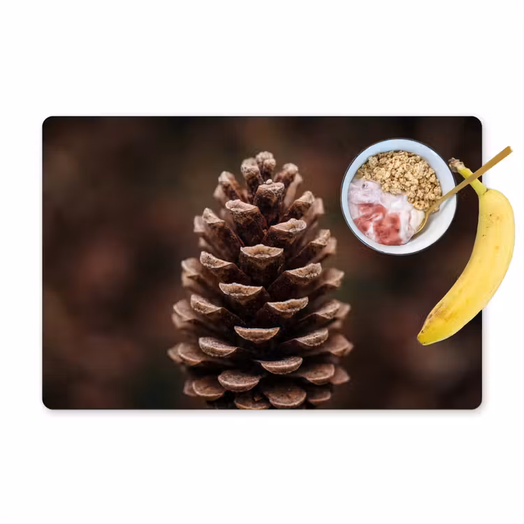 Placemat - 6 stuks - Dennenappel - Bos - Herfst - Bruin - Sfeervol — 1