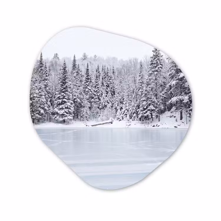 Organische vorm aluminium - Meer - Dennen - IJs - Winter - Rustgevend — 1
