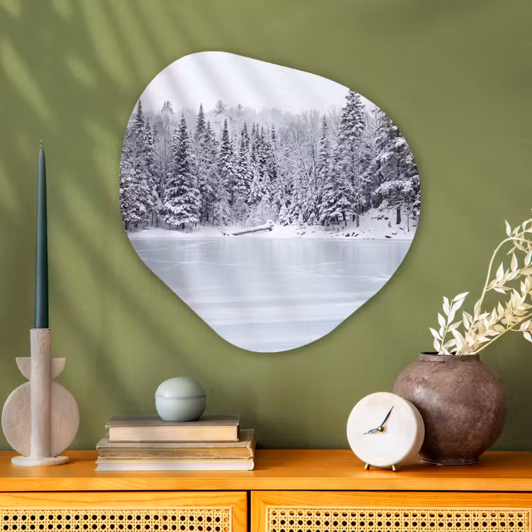 Organische vorm aluminium - Meer - Dennen - IJs - Winter - Rustgevend — 2