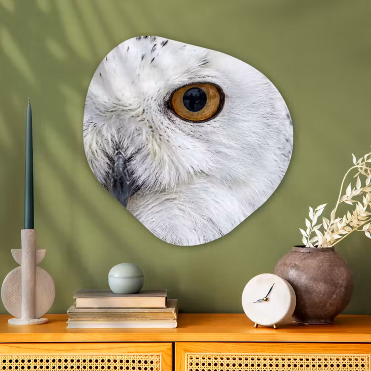 Organische vorm aluminium - Sneeuwuil - Oog - Wildlife - Wit — 2