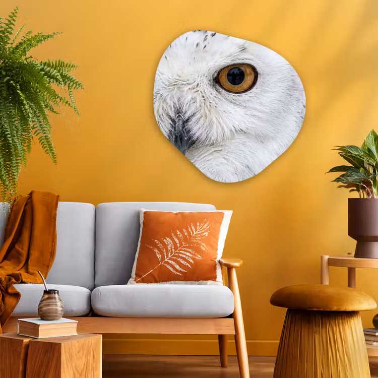 Organische vorm aluminium - Sneeuwuil - Oog - Wildlife - Wit — 3